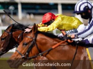 horse racing bet calculator