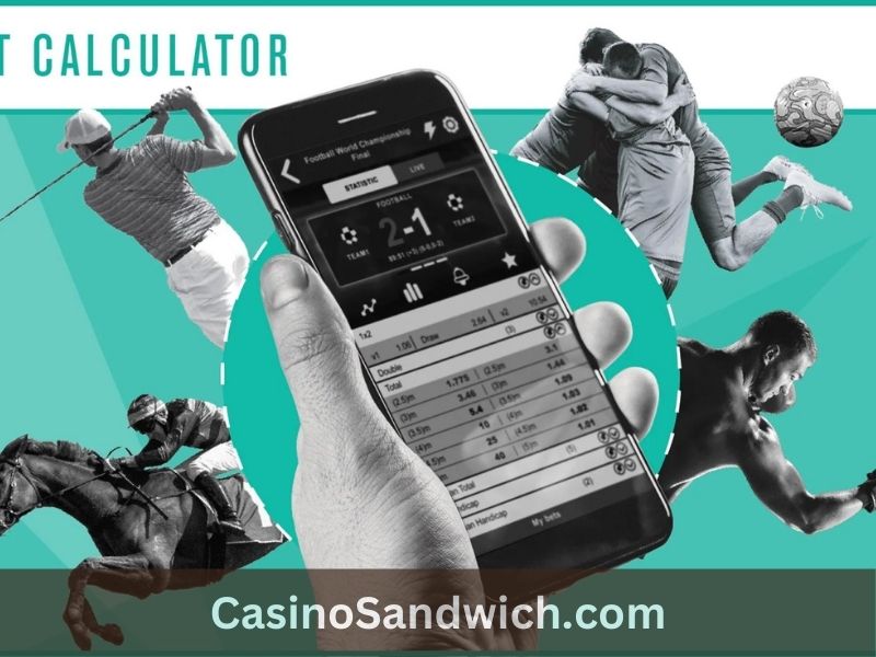 The Advantages of Using a Horse Bet Calculator