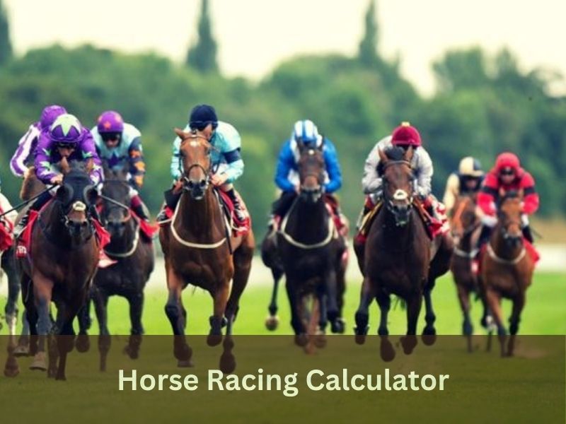 The Importance of a Horse Racing Calculator
