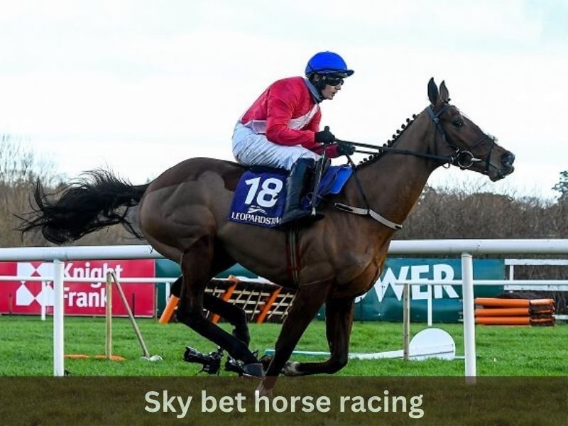 Horse Racing Betting at Sky Bet