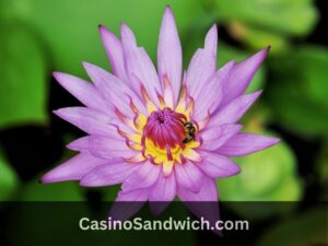 COM.Dti.Folderlauncher